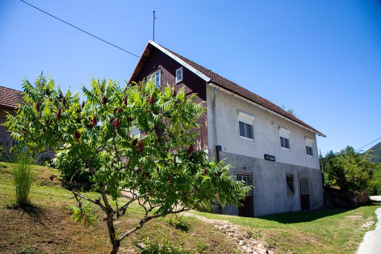 Lodge Colnar *